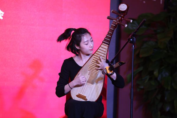 华夏文化艺术委员会举行“牢记使命,逐梦前行”主题年会